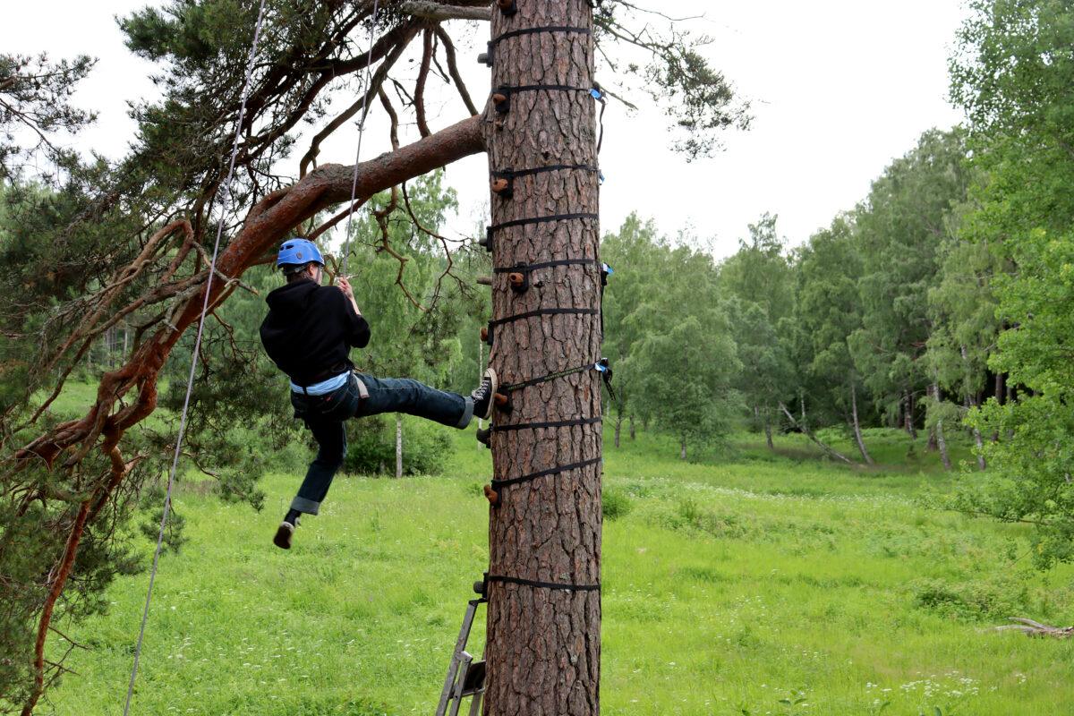 Kuvassa nuori puukiipeilemässä.