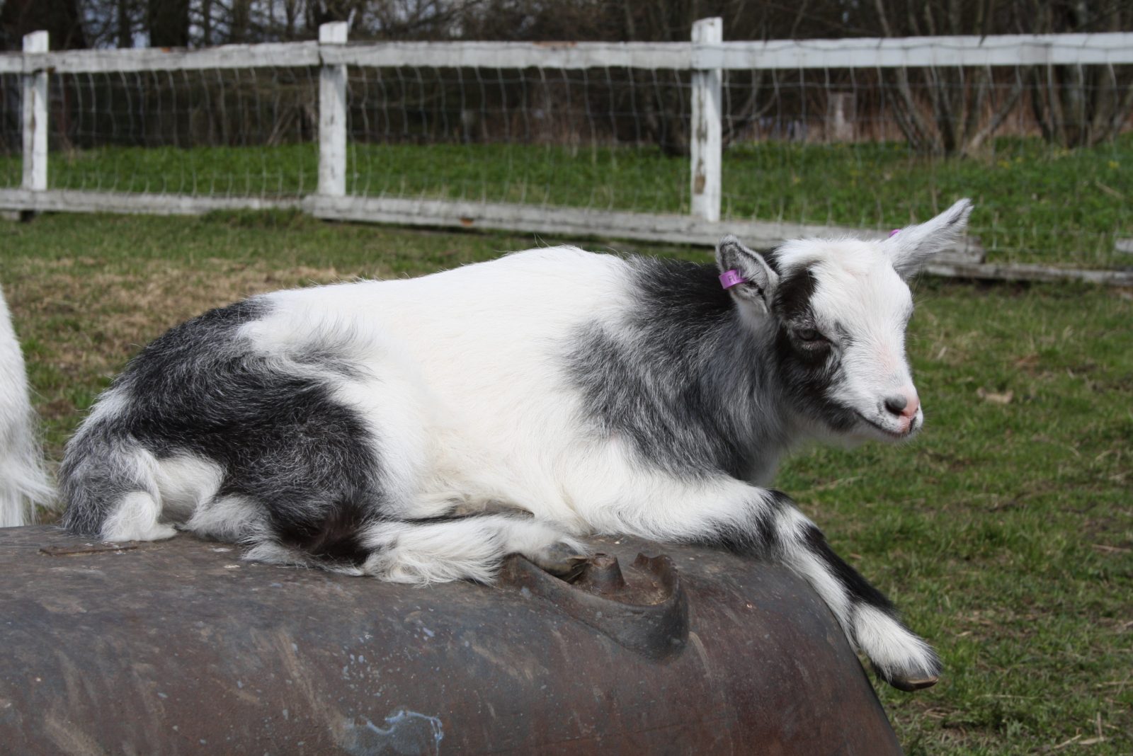 Activities for 9–11-year-olds - Youth Helsinki